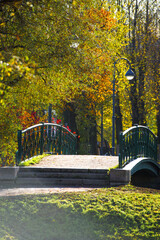 Obraz premium autumn in the park
