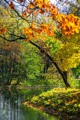 Obraz premium autumn in the park