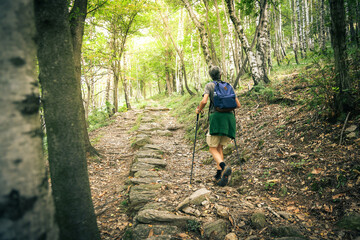 Middle age man walking in the mountain forest. Male with backpack do hike in the nature. Guy goes trekking outdoor in a beautiful park. Outdoors sport. Freedom, relax, leisure and lifestyle concept.