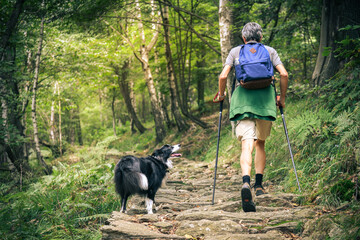 Naklejka na ściany i meble Man and his dog walking in the mountain forest. Friends hike together in the nature. Guy with pet goes trekking outdoor in a beautiful park. Friendship, loyalty, alliance and companionship concept