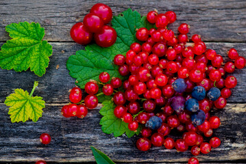 irgi berries with a handful of cherries and red currants. High quality photo