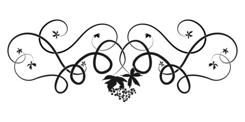 pattern ivy vine woven tree element. sketch doodle