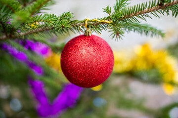 Obraz na płótnie Canvas Red glitter Christmas Ball hanging on a evergreen tree