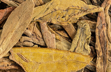 Green tea, dry leaves macro detail - image width 23mm