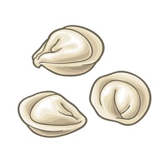 Dumpling. Vintage color vector illustration. Isolated on white
