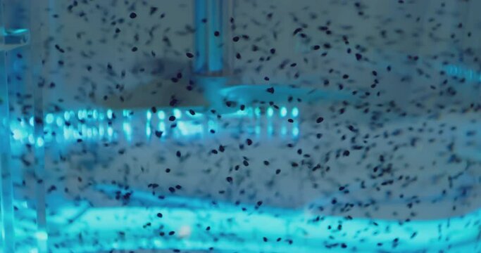 the screw rotates in clear, transparent water, stirring fine particles.close-up.