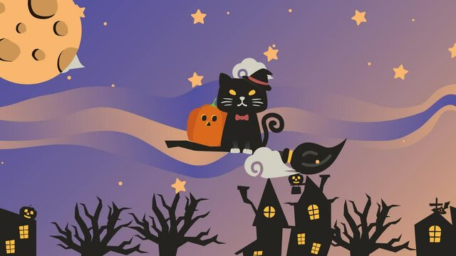 Endless Witch Cat Riding a Broom