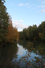 Fototapeta na wymiar autumn trees reflected in water