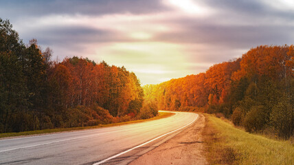concept of travel and cargo transportation, asphalt road in the forest at sunset