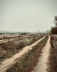 road in the field