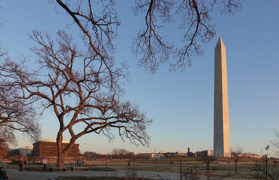 Museum Of African American History And Culture In Warm, Setting Sunlight; Washington Monument Too.