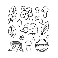 A set of autumn drawings. Contour image of a hedgehog, mushrooms, fallen leaves, an acorn, a basket. black drawing of autumn forest plants and animals for stickers, decor, postcards. Vector clipart