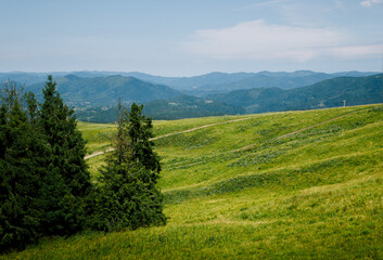 Day view of mountains and grass meadow. Ecology protection, save nature concept. Bright green capathian hills. Beauty of Ukraine landscapes. Travel