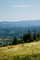 Day view of mountains and grass meadow. Ecology protection, save nature concept. Bright green capathian hills. Beauty of Ukraine landscapes. Travel