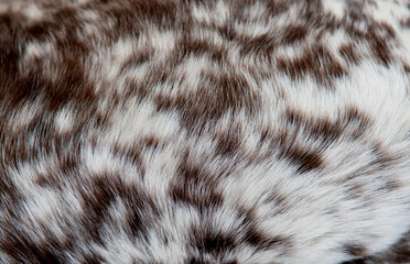 Beautiful spotted fur close-up. Texture of brown animal wool. Dog fur.