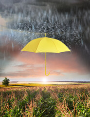 Open yellow umbrella under heavy rain in corn field