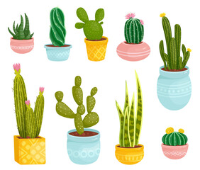 Set of cacti and succulents in ceramic pots.Collection of exotic indoor plants in cartoon style.Vector graphics on a white background.