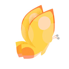 Butterflies summer collection