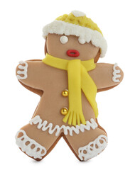 Gingerbread man isolated on white. Delicious Christmas cookie