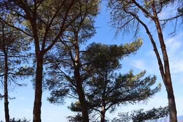 Massawa, Eritrea-September 02, 2021: Amazing landscape from the Eritrean Red Sea on the way from Massawa to Asmara. Arid weather and some green areas.