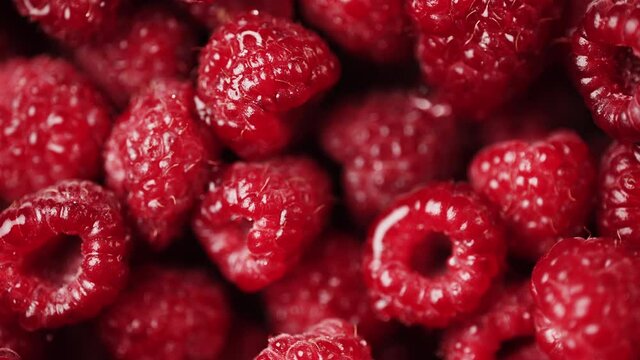Close up of rotation scarlet raspberry. Macro red fresh raspberries fruit. Handful of juicy ripe berries as food background. Concept of healthy food or organic nutrition and harvest or summer dessert.