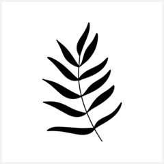 Doodle leaf of palm or fern icon isolated on white. Part tree. Plant vector stock illustration. EPS 10