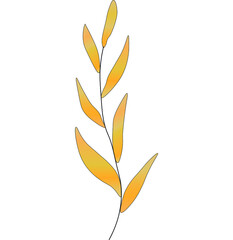 Vector of single golden yellow curved birch leaf in the fall time changing color. Autumn, seasonal, fall theme.