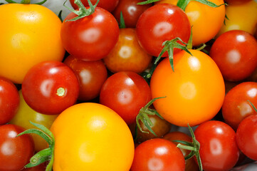 tomaten