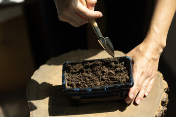 Preparing a flower pot for plant transplantation.