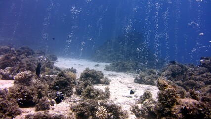 Fototapeta na wymiar Underwater bubbles
