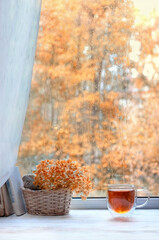 tea cup, old books and flowers hydrangea on window sill. autumn season, rainy day. melancholic mood, inspiration image. cozy autumn, home hygge atmosphere