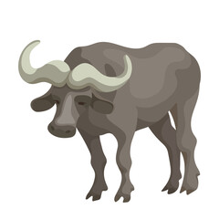 African buffalo, black bull. Cartoon vector graphics.