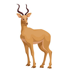 Grant's gazelle, antelope. Cartoon vector graphics.
