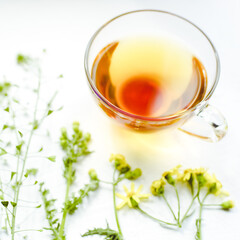 Herbal tea in a glass cup. Herbs and flowers on a white table around a mug with a drink