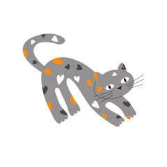 Grey cute cat with heart spots