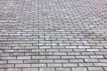 Texture of paving slabs close-up. Concrete paving slab. Beautiful pattern, background close-up.