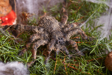 Realistic artificial spider on the web in the forest. Halloween background.