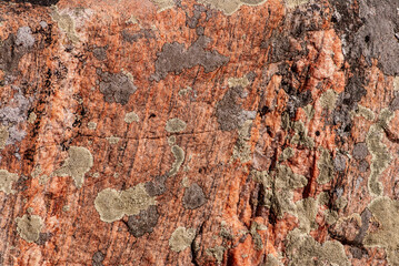 Natural pink granite rock face with lichens and moss growing on it. This is excellent as a background.