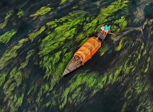 People guide their boats through tranquil, water color-like green reeds and algae on the Karatoya River in Bogra, Bangladesh.