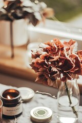 Autumn cozy still life flowers on the table with candle, light. hygge still lie hygge autumn.
