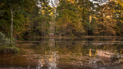 A bench by the pond on an autumn morning.
