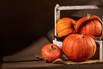 Ripe orange pumpkins in wooden box on brown background with copy space. Thanksgiving background. Autumn harvest