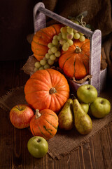 Ripe pumpkins, apples and pears in wooden box on dark brown background. Thanksgiving background. Autumn harvest