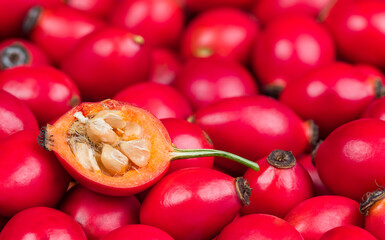 Rose hip half with core hairy seeds in sweet pulp on red fruits texture. Rosa canina. Close-up of rosehip cross-section in ripe brier berries heap on blur background. Health prevention and protection.
