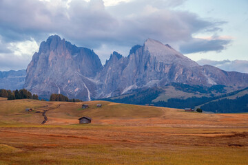 Alpe di Siusi (Seiser Alm) alpine meadow in the background with the Sassolungo and Langkofel...