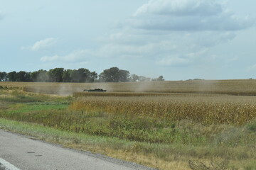 Fototapeta na wymiar Combine in a Corn Field