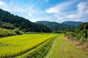 Fototapeta na wymiar 実る稲穂のクローズアップと山村風景