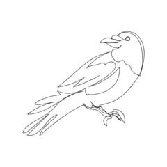 Carrion-crow one line art. Continuous line drawing of halloween theme, gothic, ornithology, scary, bird.
