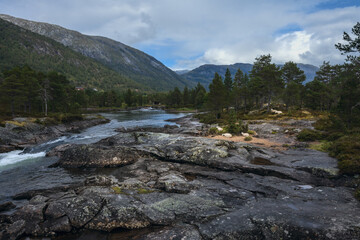 Fototapeta na wymiar Sheep rest on the bank of a mountain river, Norway.