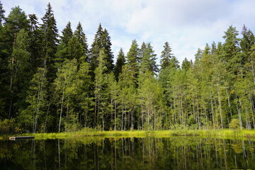 The hidden and quiet place ever